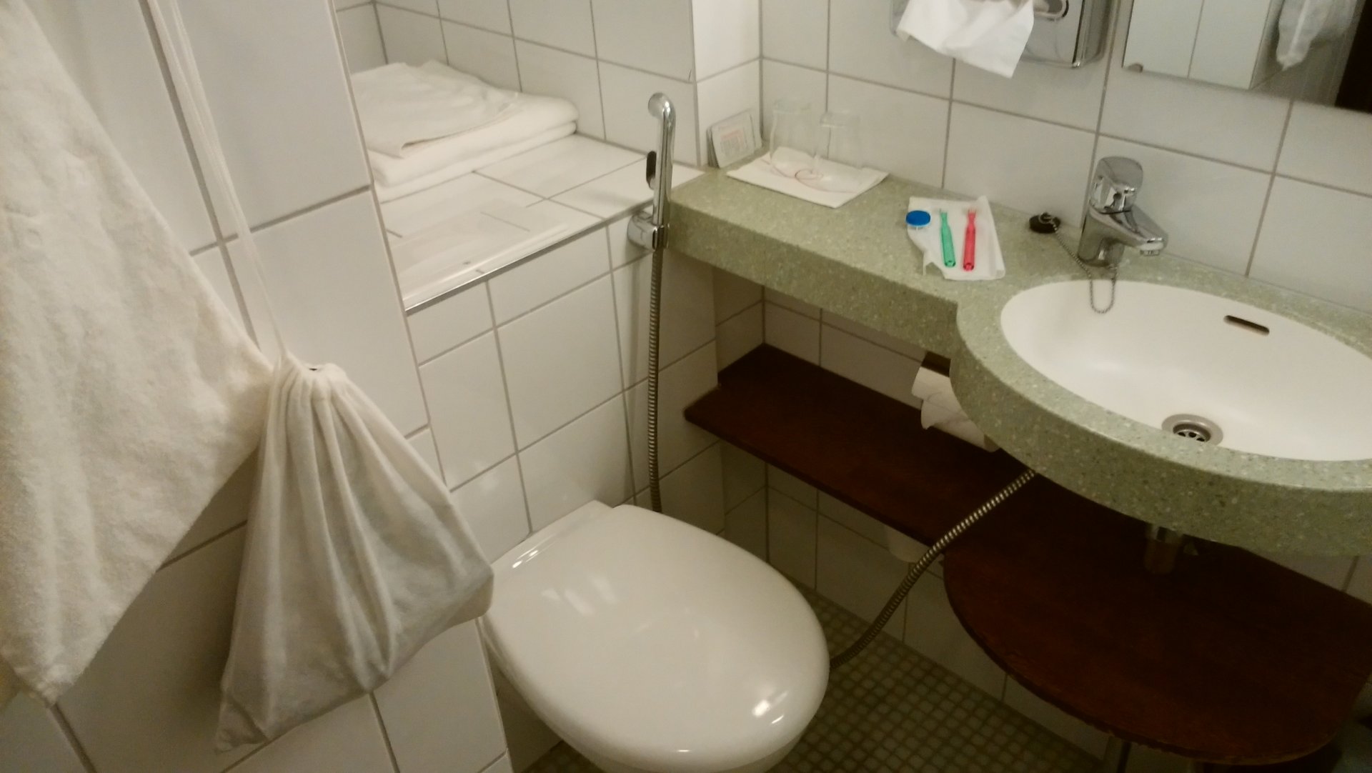 ソコスヴァークナのトイレ兼浴室